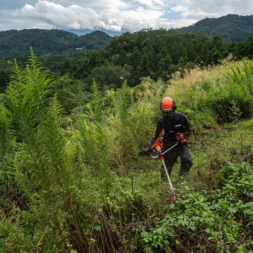 desbrozadora-bcls-520-es (5).webp