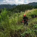 desbrozadora-bcls-520-es (5).webp